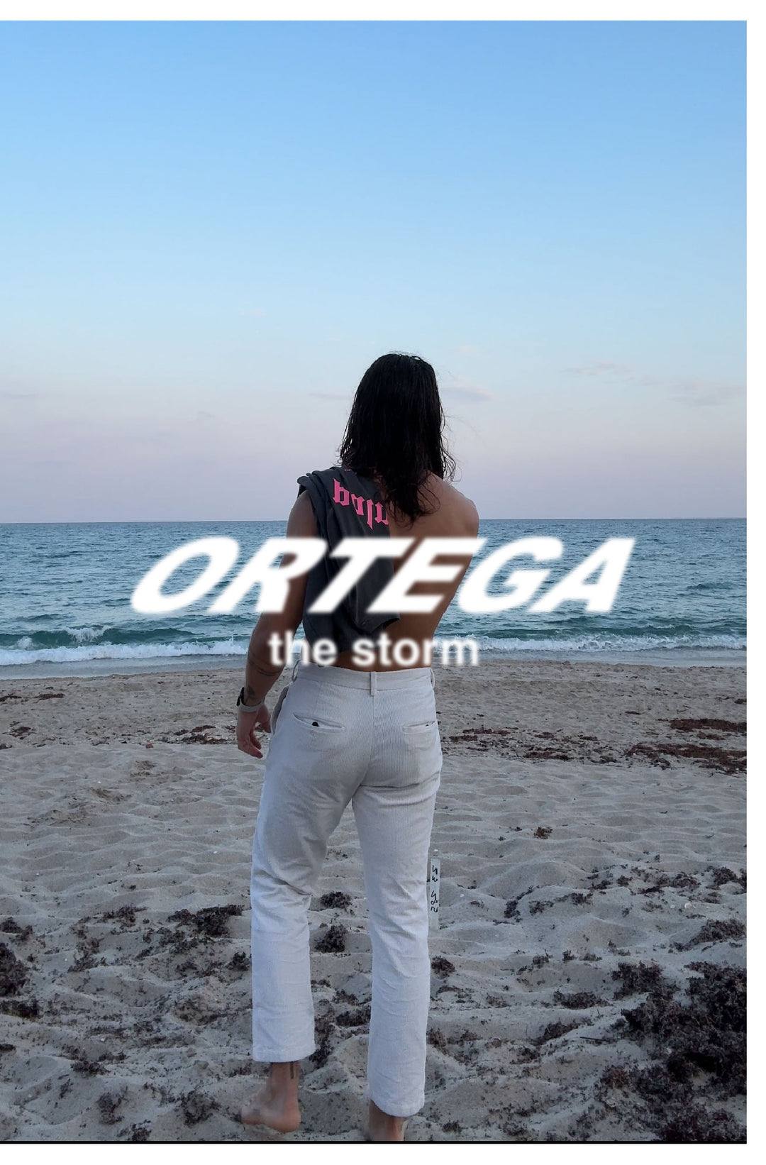 Ortega - In the middle of the storm