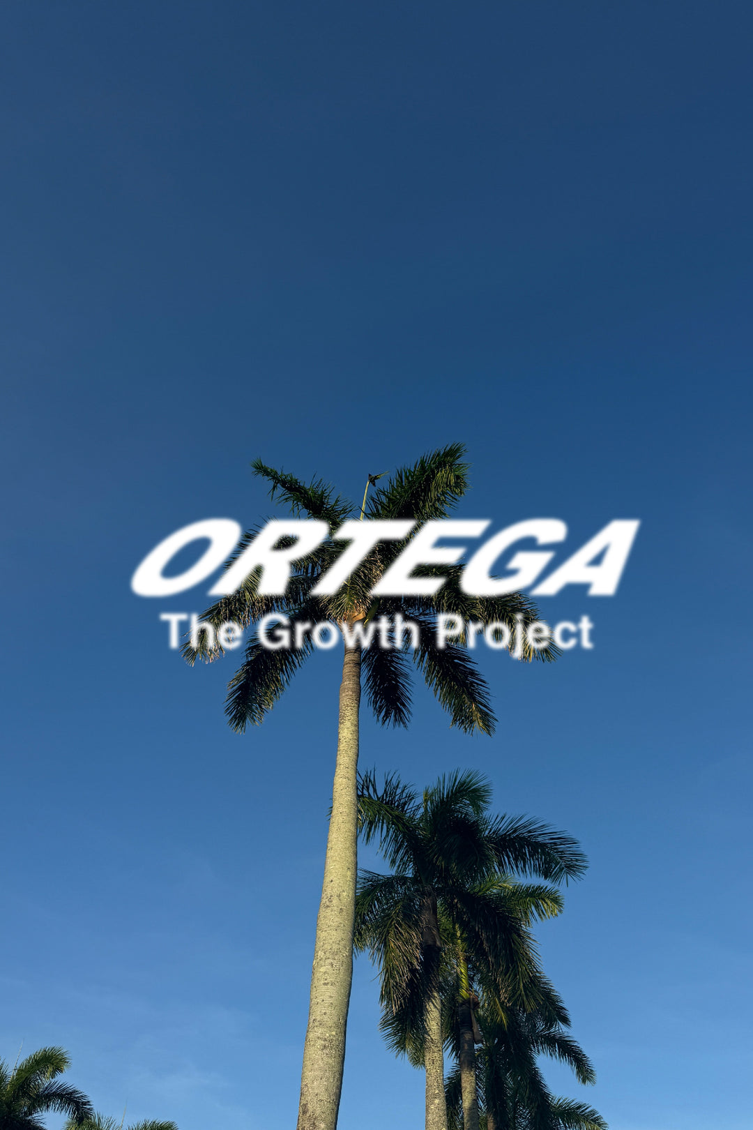 The Ortega Growth Project